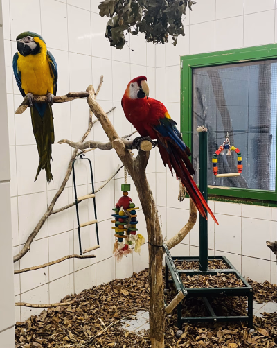 Spende Wiltingen Bild 2